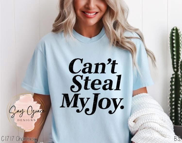 Can't Steal My Joy