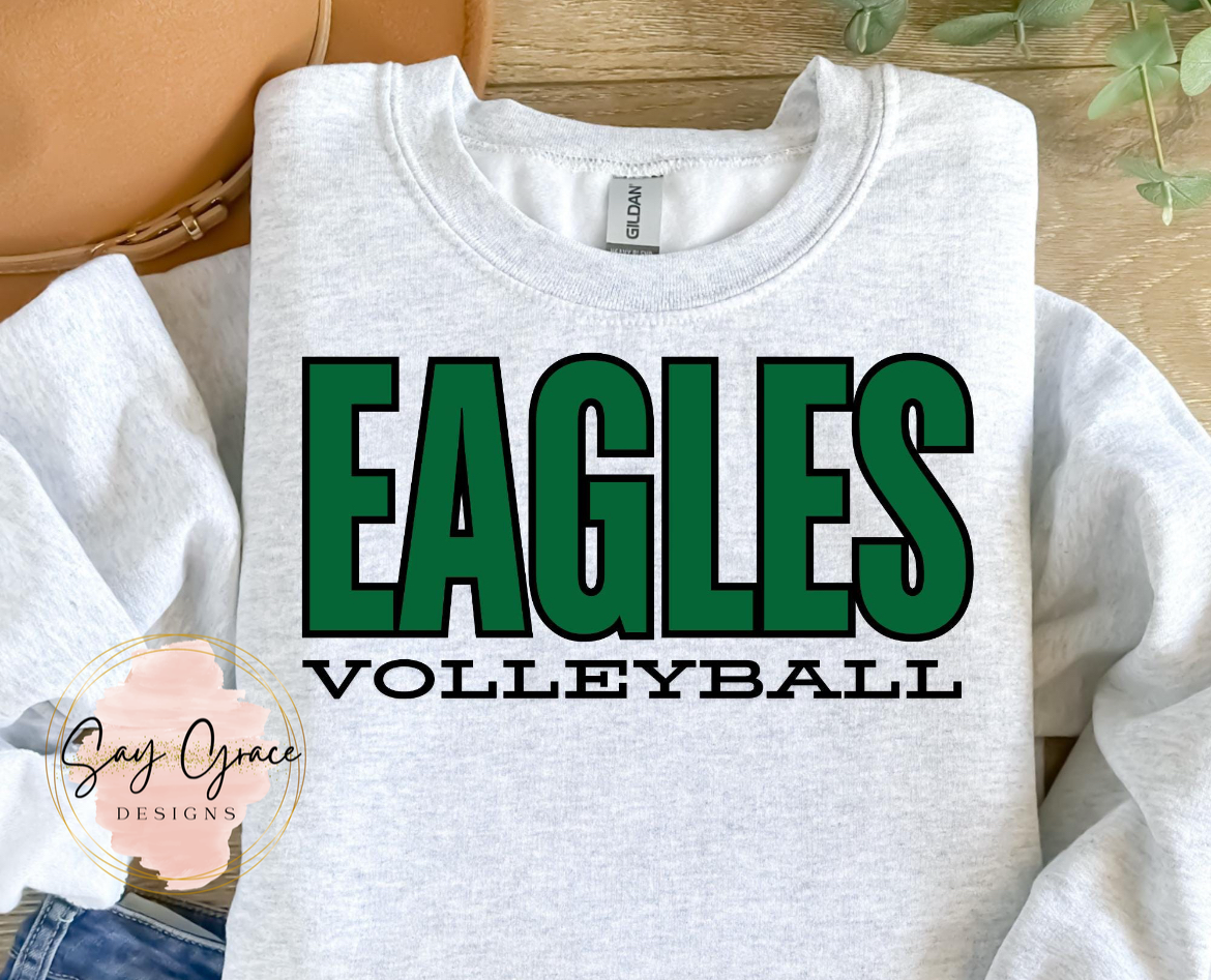 Eagles Volleyball 5