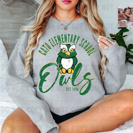 Cato Elementary School Owls SW Est.