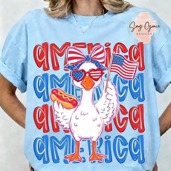 America Goose Repeat