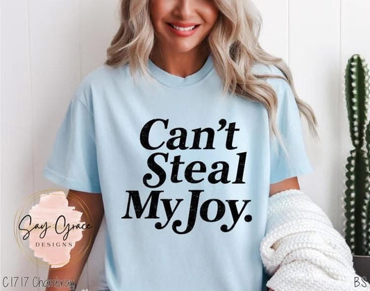 Can't Steal My Joy