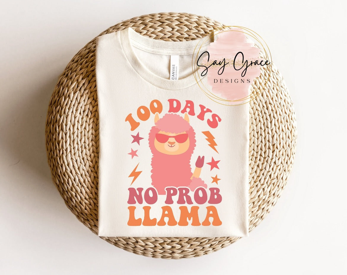 100 Days No Prob Llama