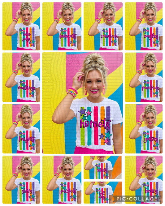 Mascot Rainbow Stripes