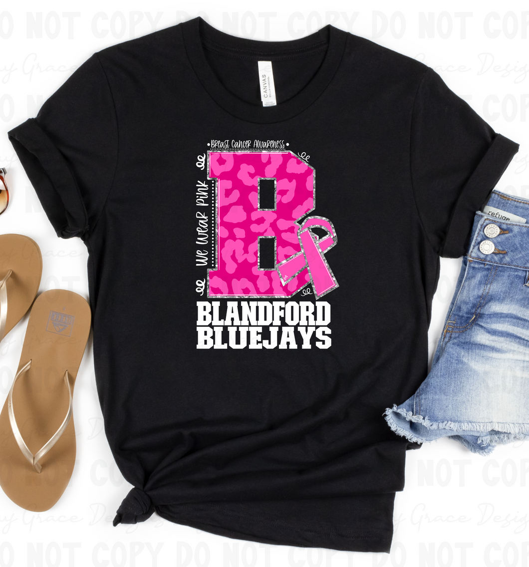 Blandford Blue Jays Breast Cancer Awareness